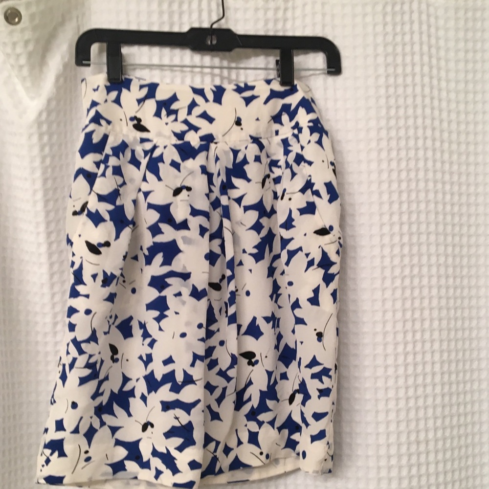 Knee length skirt from Anthropologie; worn 1 time
